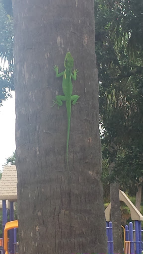 Community Center «Volunteer Park Community Center», reviews and photos, 12050 W Sunrise Blvd, Plantation, FL 33323, USA