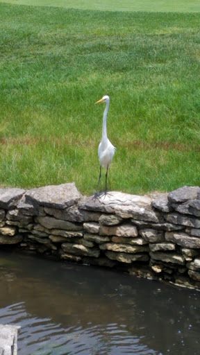 Golf Club «Muirfield Village Golf Club», reviews and photos, 5750 Memorial Dr, Dublin, OH 43017, USA