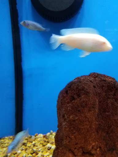 Pet Supply Store «Petco Animal Supplies», reviews and photos, 10 Sylvan St, Peabody, MA 01960, USA