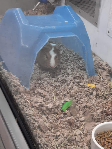 Pet Supply Store «Petco Animal Supplies», reviews and photos, 12014 SW 88th St, Miami, FL 33186, USA