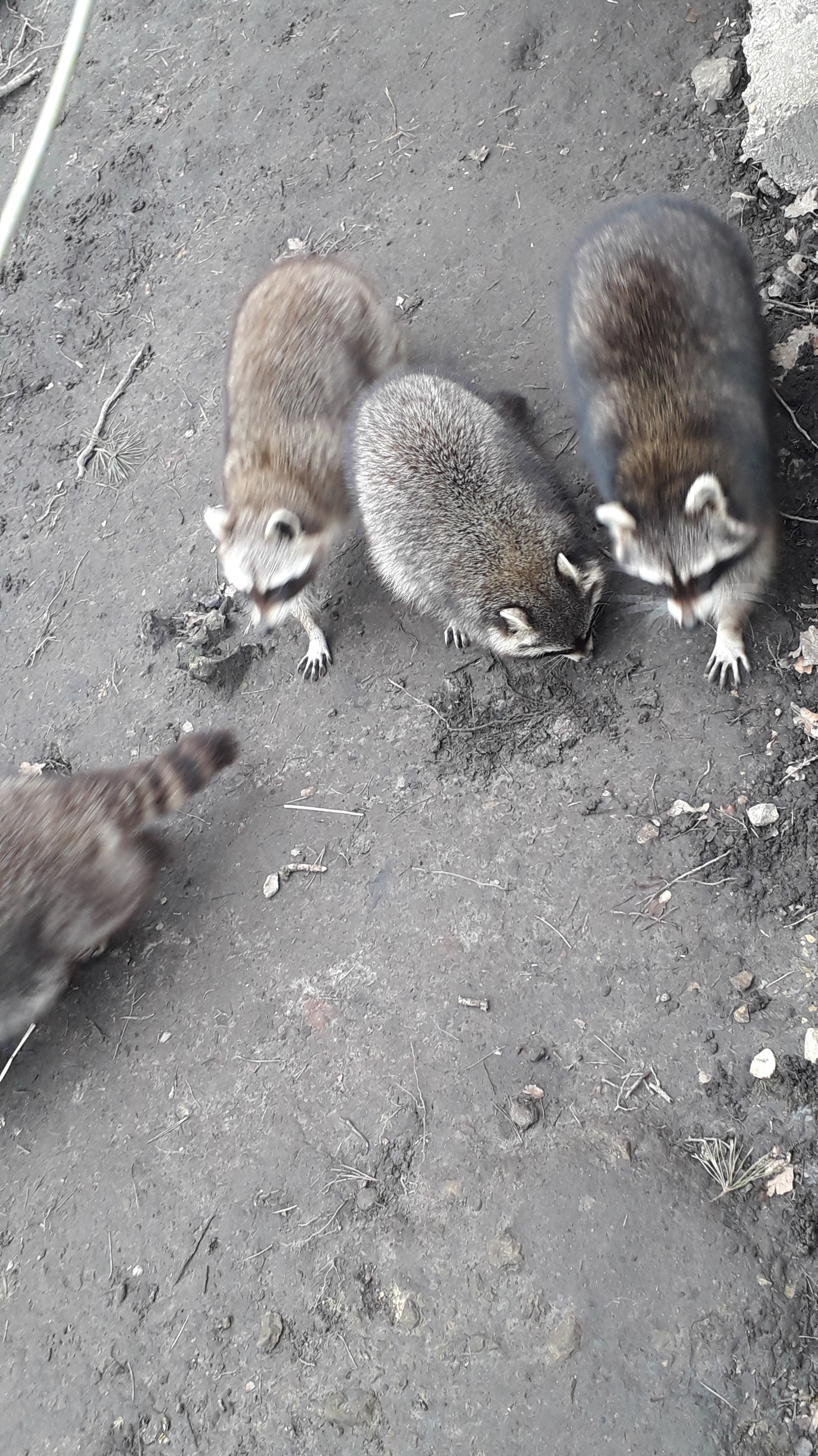 Photo n° 1 de l'avis de Alain.E fait le 07/03/2024 à 18:44