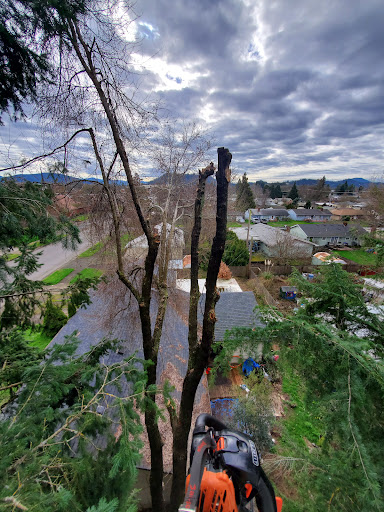 Eugene Tree Service