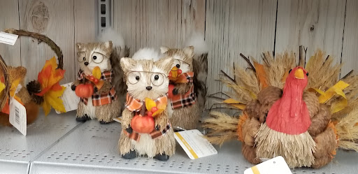 Craft Store «Michaels», reviews and photos, 2701 SW College Rd #700, Ocala, FL 34474, USA