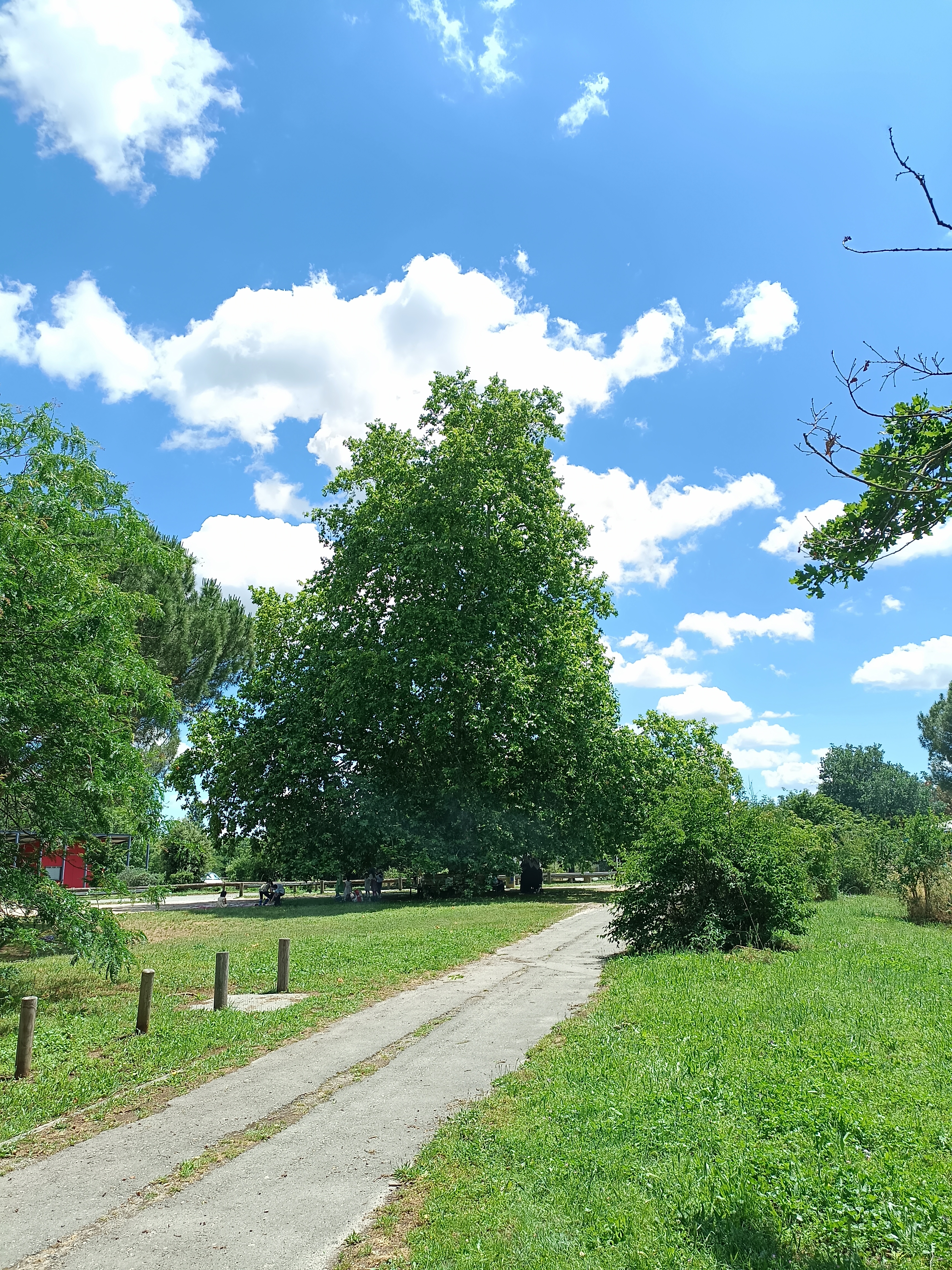 Photo n° 1 de l'avis de Marie.H fait le 10/06/2023 à 14:31