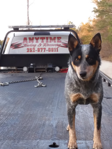 Towing Service «Anytime Towing & Recovery», reviews and photos, 1523 S Franklin St, Rocky Mount, NC 27803, USA