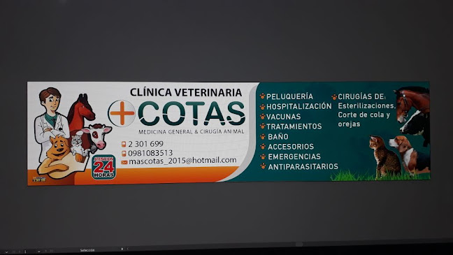 Clínica Veterinaria Mascotas - Veterinario