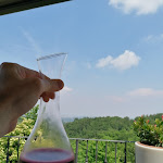 Photo n°5 de l'avis de Degustibus. fait le 16/05/2022 à 19:10 sur le  Antica Trattoria Moreieta 1890 à Arcugnano