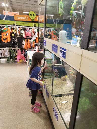 Shopping Mall «Northland Plaza Shopping Ctr», reviews and photos, 2500 Sycamore Rd, DeKalb, IL 60115, USA