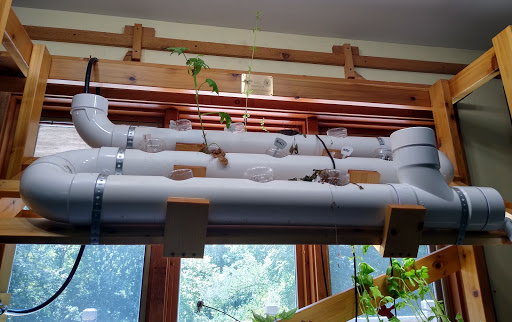 Park «Martha Lafite Thompson Nature Sanctuary», reviews and photos, 407 N La Frenz Rd, Liberty, MO 64068, USA