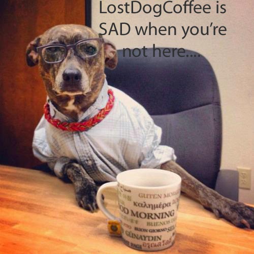 Coffee Shop «Lost Dog Coffee Fine Arts Drink Emporium», reviews and photos, 134 E German St, Shepherdstown, WV 25443, USA