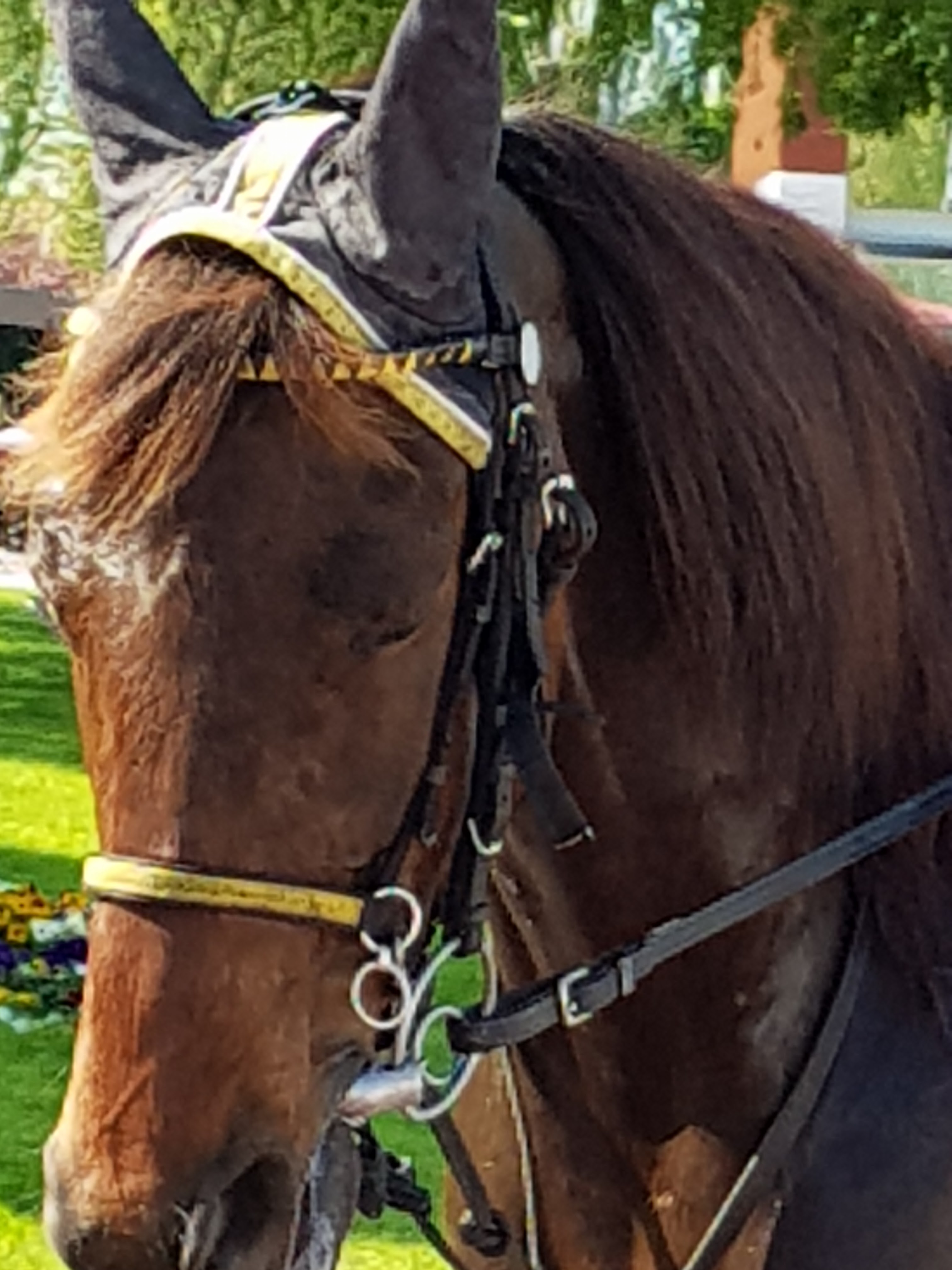 Photo n° 9 de l'avis de Christelle.h fait le 23/04/2018 à 07:08