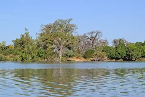 River Gambie image