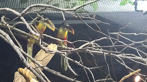 Aquarium «Greater Cleveland Aquarium», reviews and photos, 2000 Sycamore St, Cleveland, OH 44113, USA