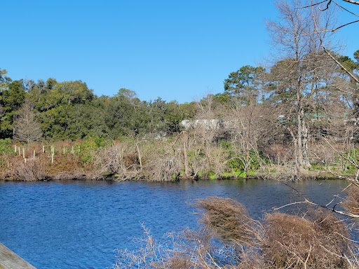 Park «Cypress Wetlands», reviews and photos, 1700 Paris Ave, Port Royal, SC 29935, USA