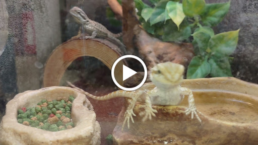 Pet Supply Store «PetSmart», reviews and photos, 1145 W Riverdale Rd, Riverdale, UT 84405, USA