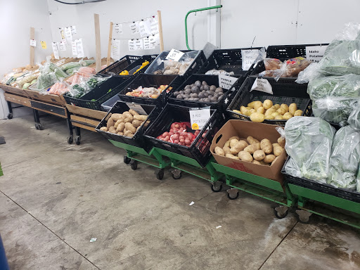 Sanfillipo Produce