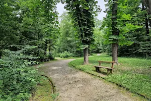 Park šuma Tuškanac image