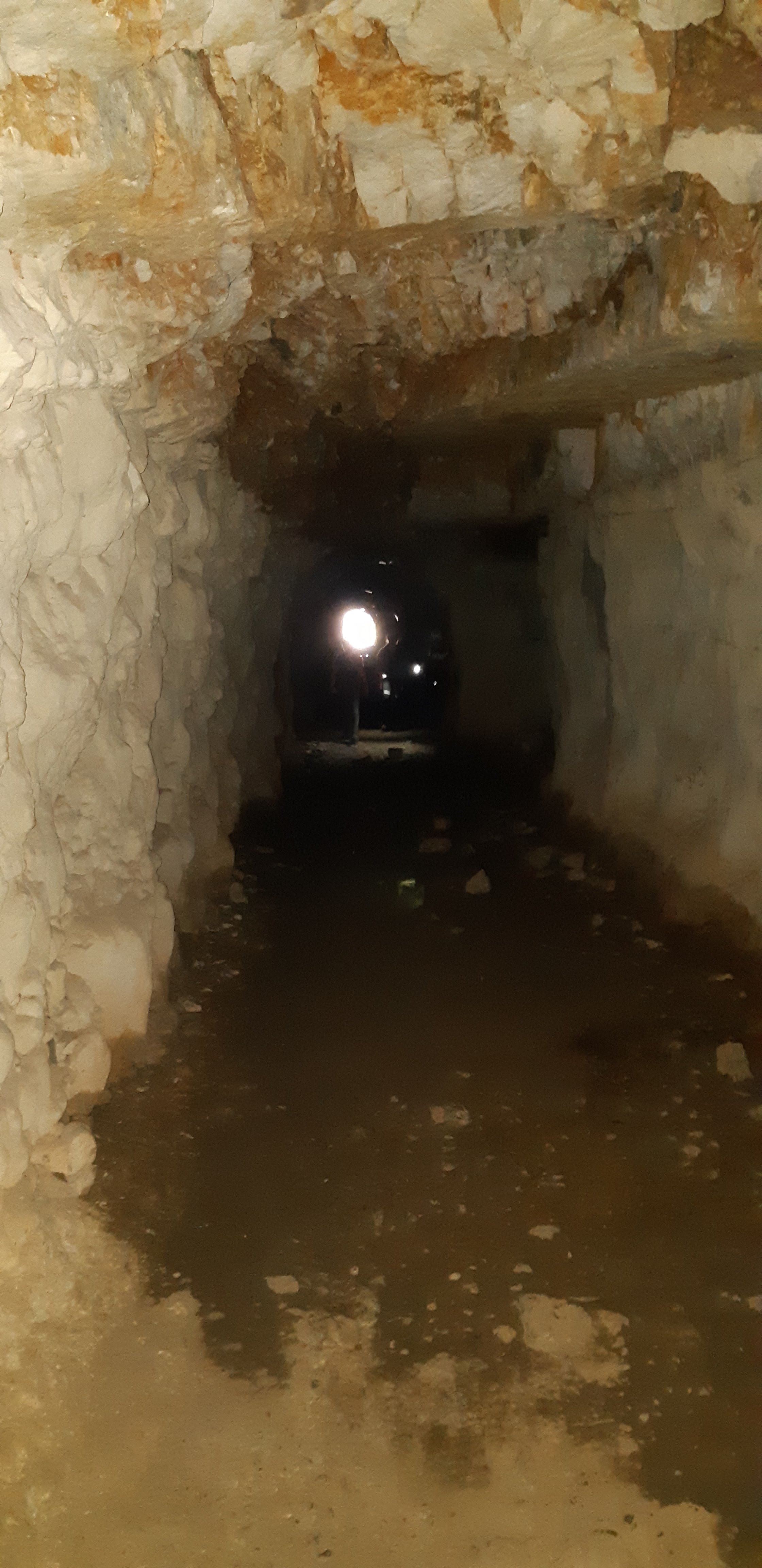 Photo n° 5 de l'avis de Di.e fait le 25/05/2019 à 13:15