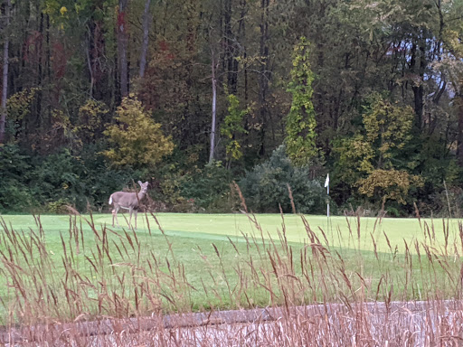 Golf Course «The Orchards Golf Club», reviews and photos, 62900 Campground Rd, Washington, MI 48094, USA