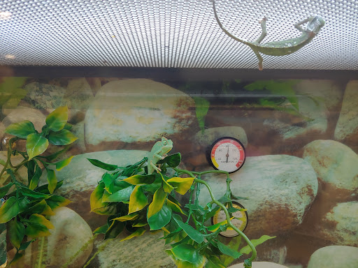 Pet Supply Store «Petco Animal Supplies», reviews and photos, 5 Bel Air S Pkwy #213B, Bel Air, MD 21014, USA