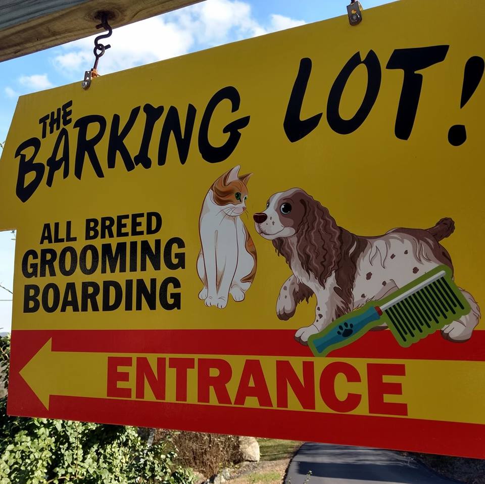 Poconos Barking Lot