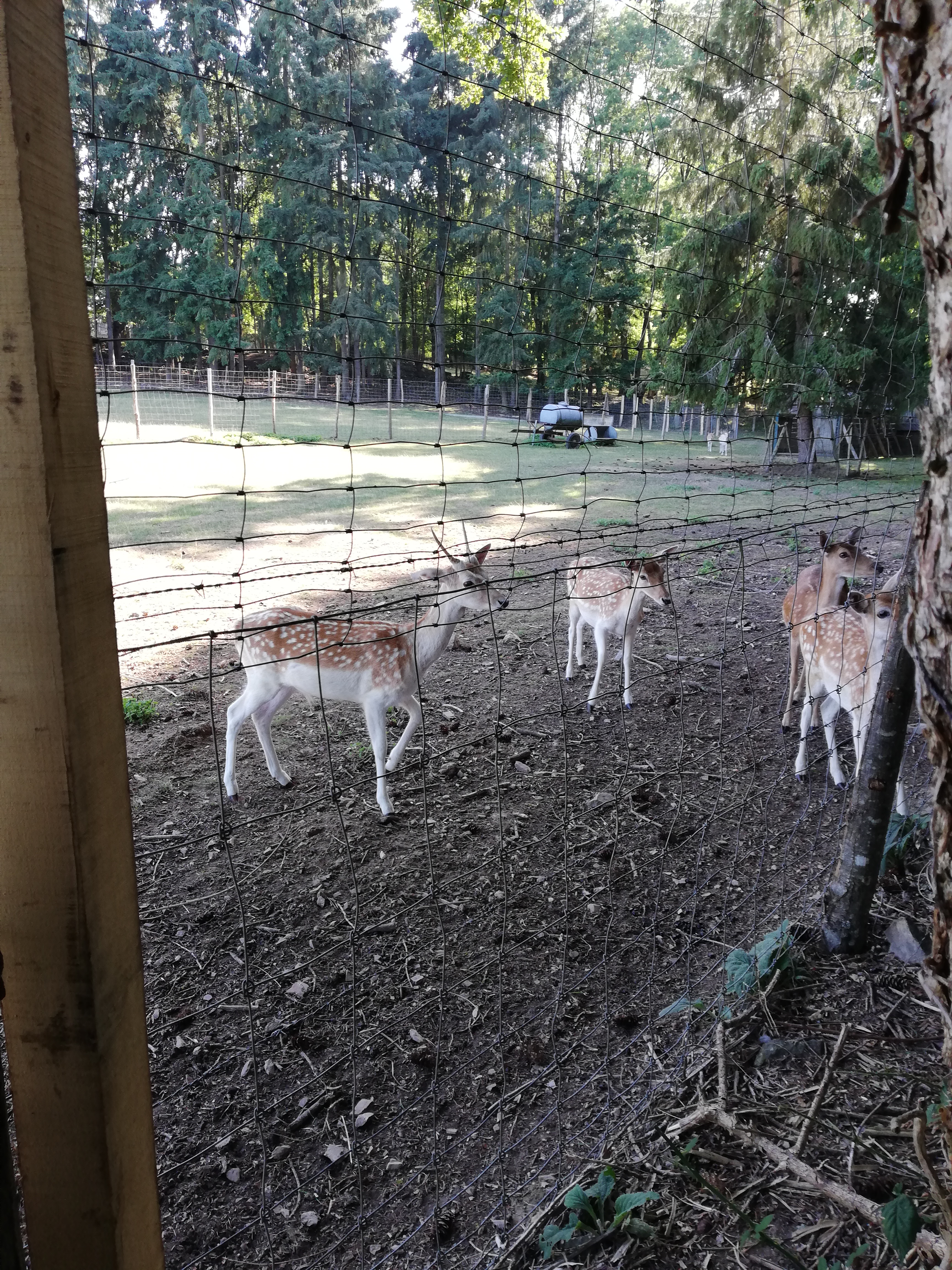 Photo n° 4 de l'avis de E. fait le 08/09/2019 à 11:35