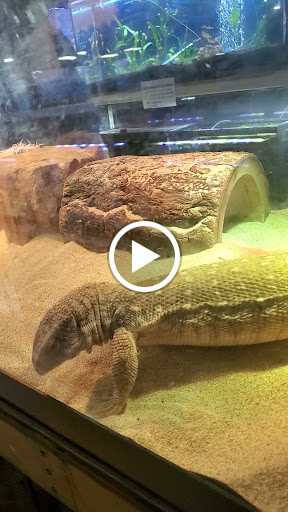 Tropical Fish Store «Animal House Pet Shop», reviews and photos, 358 Warner Milne Rd #110, Oregon City, OR 97045, USA