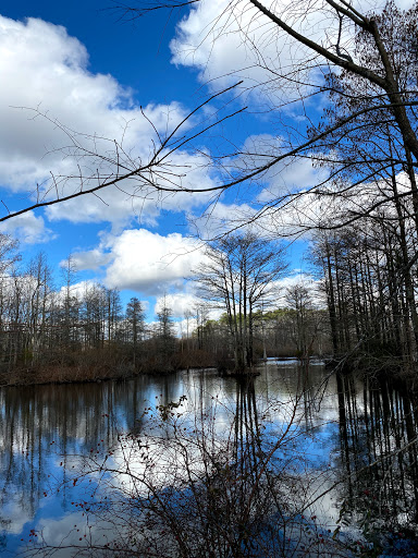 Golf Club «Stumpy Lake Golf Course», reviews and photos, 4797 Indian River Rd, Virginia Beach, VA 23456, USA