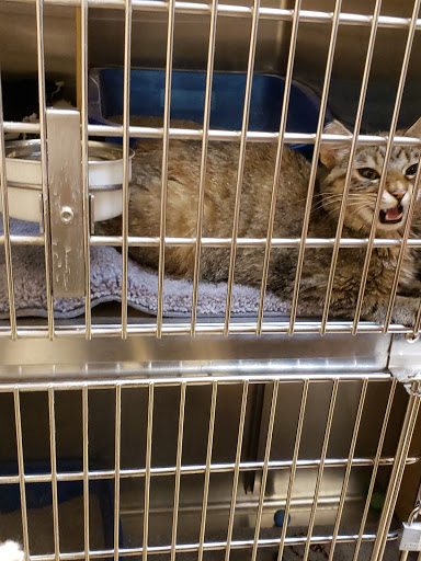 Pet Supply Store «PetSmart», reviews and photos, 1512 S Randall Rd, Geneva, IL 60134, USA