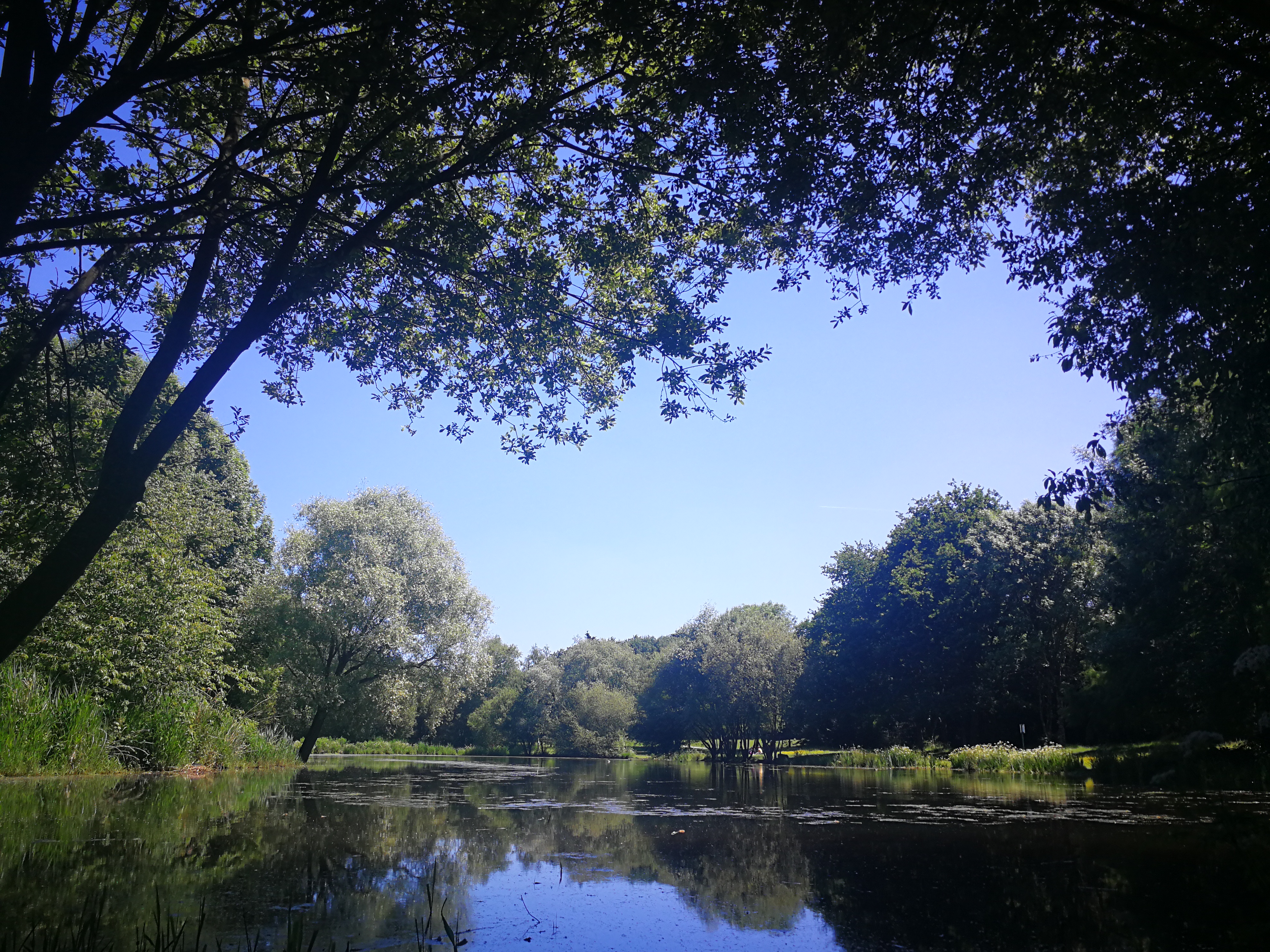 Photo n° 1 de l'avis de Barbara.a fait le 28/05/2022 à 16:16