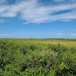 Ulumay Sanctuary Hiking Trail