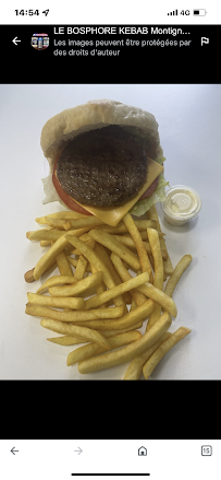 Hamburger du LE BOSPHORE KEBAB Montigny-lès-Metz à Montigny-lès-Metz - n°20