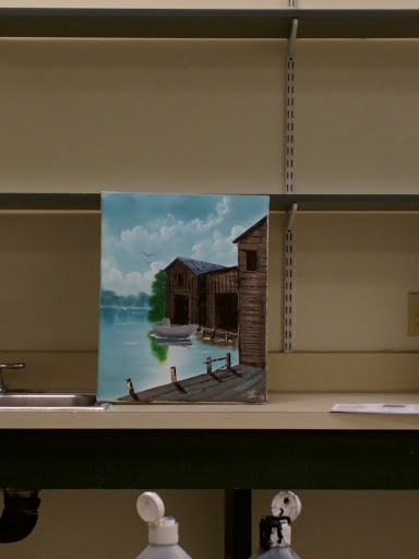 Craft Store «Hobby Lobby», reviews and photos, 6101 Calhoun Memorial Hwy q, Easley, SC 29640, USA