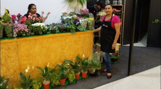 Floricultura Lorena Flores