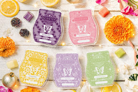Rissy - Independent Scentsy Consultant