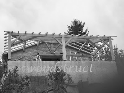 WOODSTRUCT- Terrasse bois à Angoulême