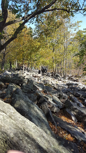 Furniture Store «Big Lots Distribution», reviews and photos, 50 Rausch Creek Rd, Tremont, PA 17981, USA