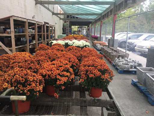 Produce Market «M&S Produce Outlet», reviews and photos, 6020 E Black Horse Pike, Egg Harbor Township, NJ 08234, USA