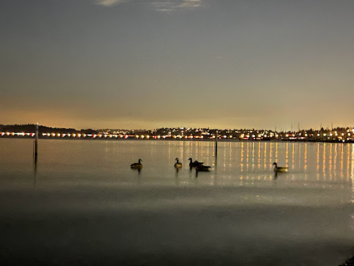 Performing Arts Theater «Spectrum Dance Theater», reviews and photos, 800 Lake Washington Blvd, Seattle, WA 98122, USA