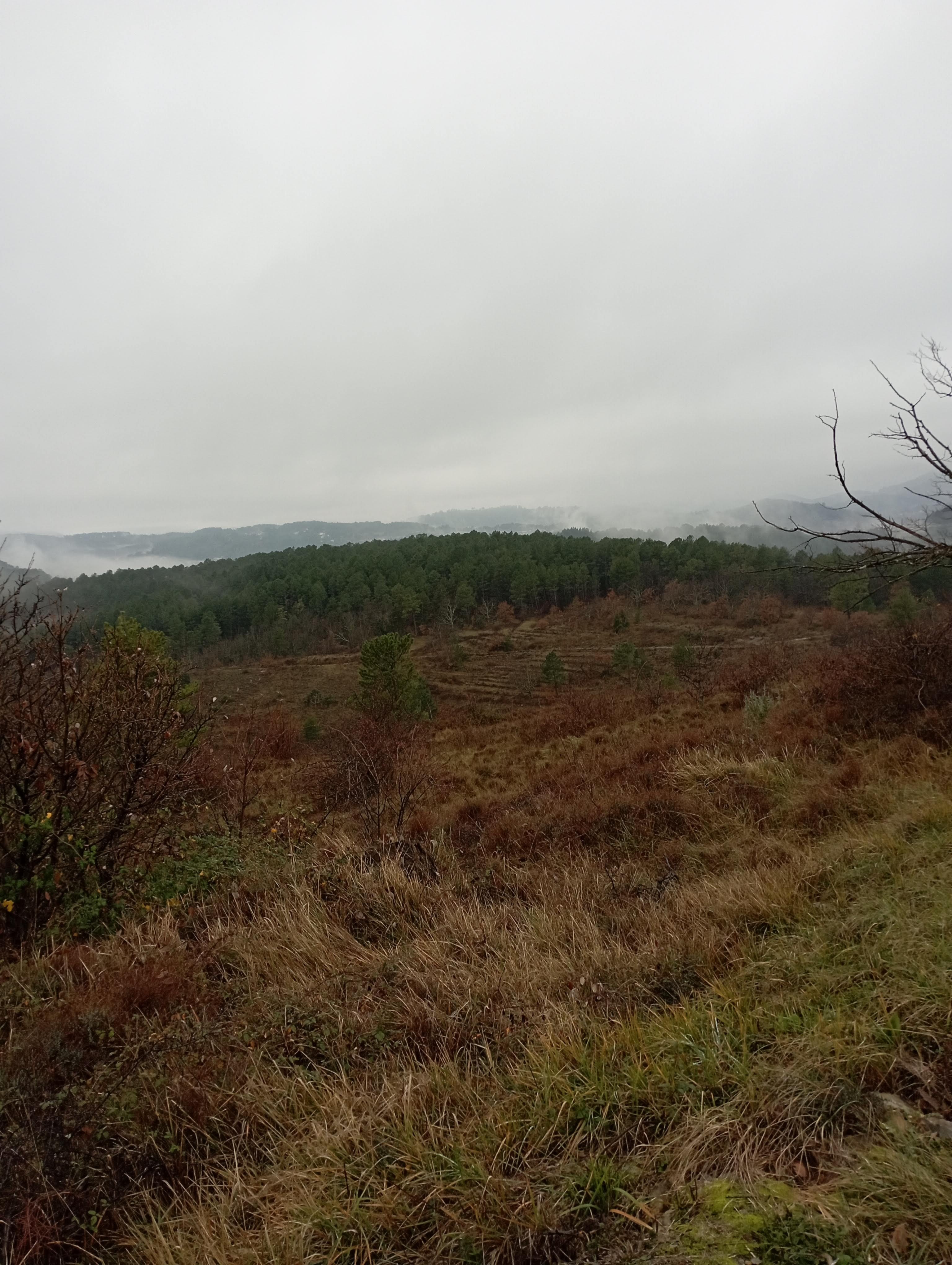 Photo n° 1 de l'avis de Christelle.a fait le 03/01/2023 à 06:32