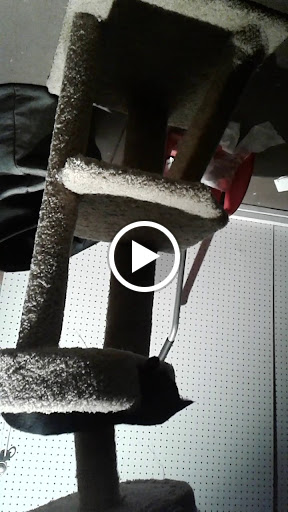 Cell Phone Store «T-Mobile», reviews and photos, 11511 San Pablo Ave A, El Cerrito, CA 94530, USA