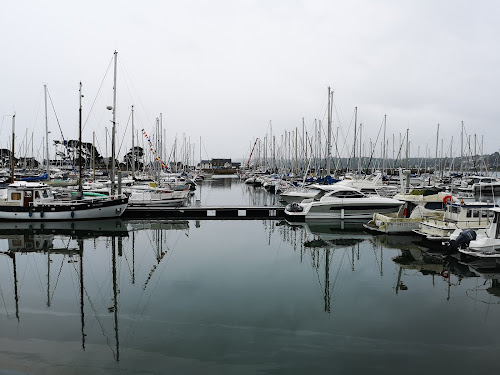 Le Linkin à Perros-Guirec