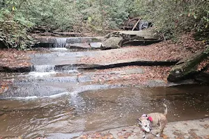 Table Rock Nature Center image