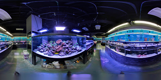 Tropical Fish Store «Optimum Aquarium», reviews and photos, 840 Ernest W Barrett Pkwy NW #700, Kennesaw, GA 30144, USA