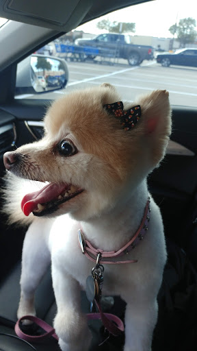 Pet Supply Store «PetSmart», reviews and photos, 2325 S Stemmons Fwy, Lewisville, TX 75067, USA