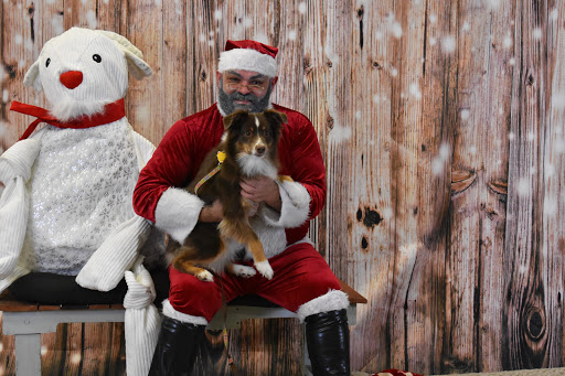 Pet Supply Store «Thomaston Feed of Cheshire», reviews and photos, 851 S Main St, Cheshire, CT 06410, USA