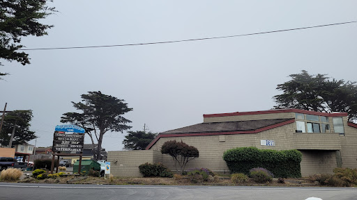 Gourmet Grocery Store «Pelican Plaza Grocery & Deli», reviews and photos, 1400 CA-1, Bodega Bay, CA 94923, USA