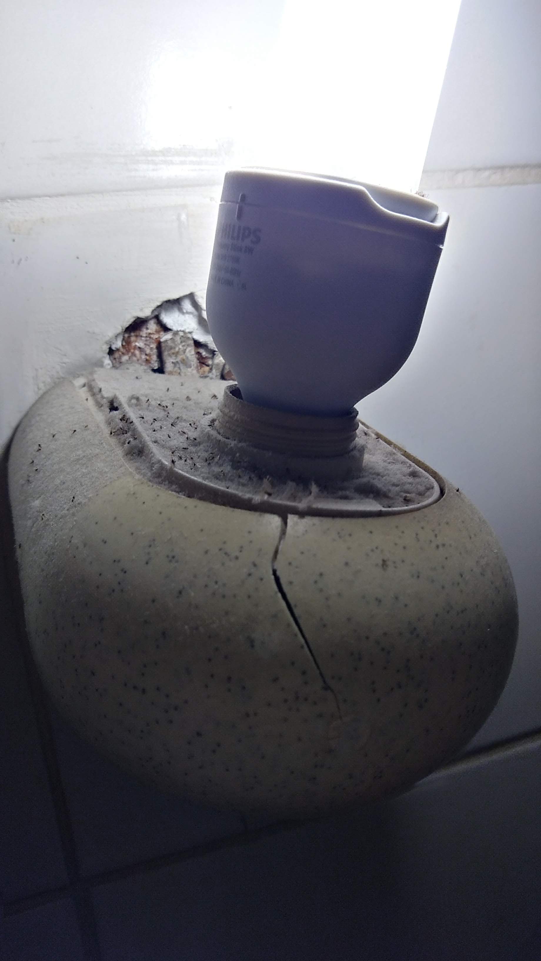 Photo n° 1 de l'avis de Guillaume.l fait le 25/06/2019 à 15:06
