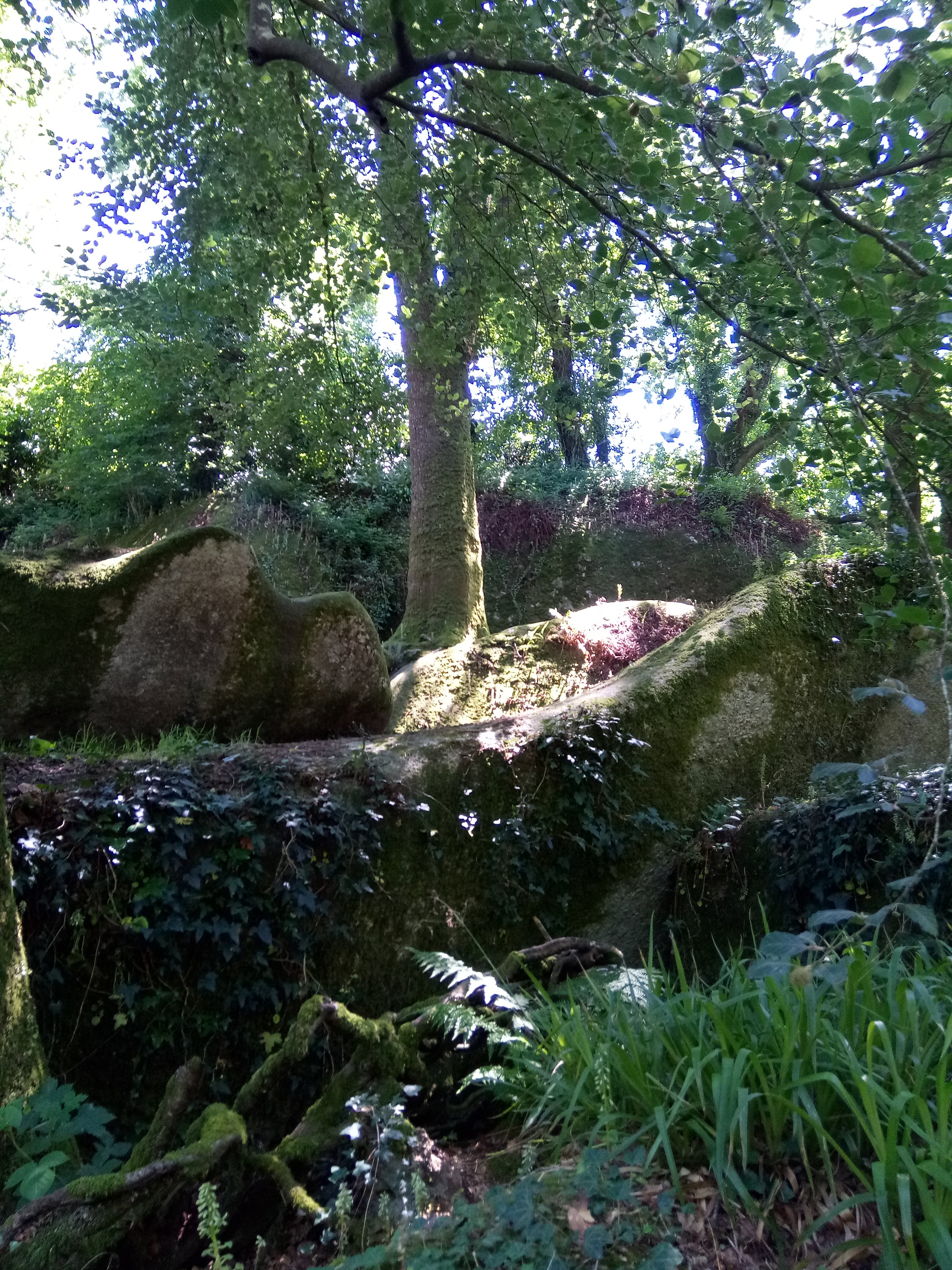 Photo n° 11 de l'avis de Christophe.n fait le 09/07/2018 à 16:57