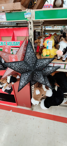 Home Improvement Store «Tractor Supply Co.», reviews and photos, 2385 E Market St, Harrisonburg, VA 22801, USA